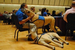 Therapy Dogs at work & rest!